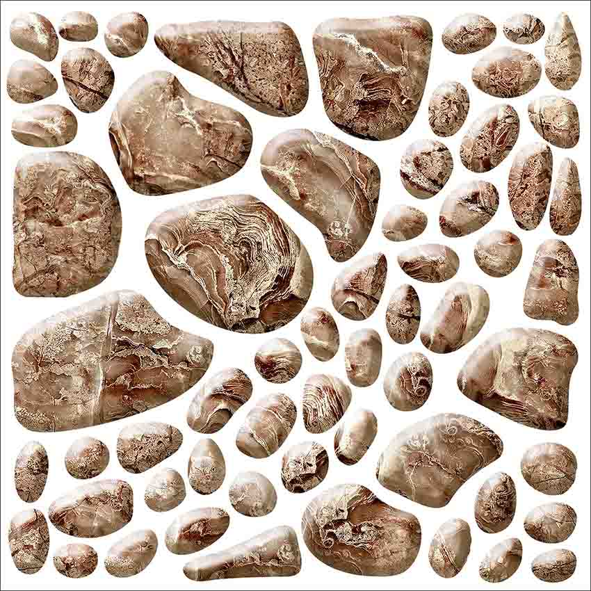 XD 313